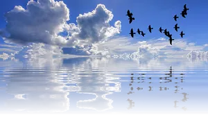 Tranquil_ Sea_and_ Sky_with_ Birds PNG Image