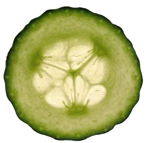 Translucent Cucumber Slice Backlit PNG Image