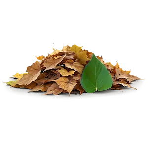 Transparent Background Leaf Pile Png Mno94 PNG Image