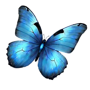 Transparent Blue Butterflies Png Nmx74 PNG Image