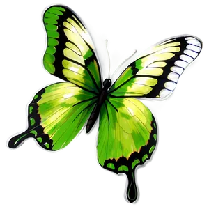 Transparent Green Butterfly Drawing Png Odg PNG Image