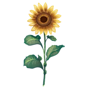 Transparent Sunflower Illustration Png 60 PNG Image