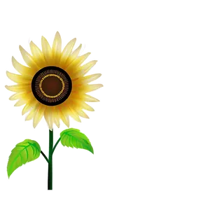 Transparent Sunflower Illustration Png Uad PNG Image