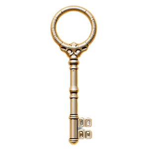 Treasure Skeleton Key Outline Png Fxf PNG Image