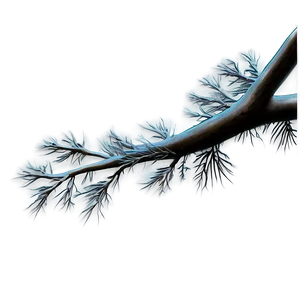 Tree Branches At Night Png 46 PNG Image