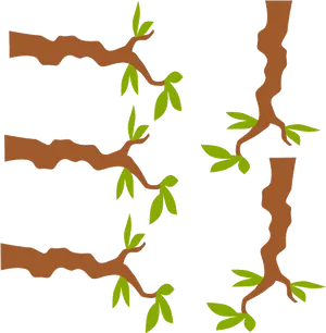 Tree Branches Sprouting Leaves Illustration PNG Image