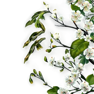 Tree Branches With Flowers Png Byk8 PNG Image