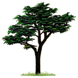 Tree Contour Landscape Png Wiu PNG Image