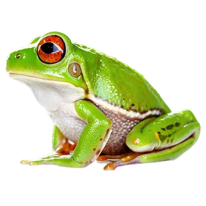 Tree Frog Side View Png 69 PNG Image