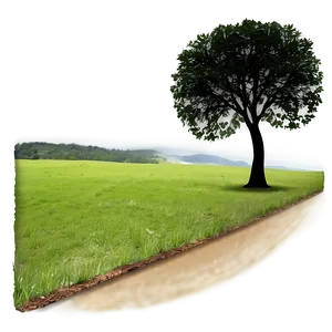 Tree Horizon Outline Png Cjs PNG Image