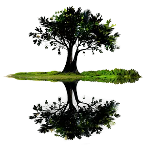 Tree Reflection Png Gra51 PNG Image