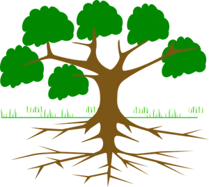 Tree Roots System Illustration PNG Image