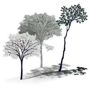 Tree Shadow Illustration Png 06282024 PNG Image