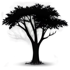 Tree Silhouette Black And White Png 06282024 PNG Image