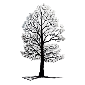 Tree Sketch Png Byv12 PNG Image