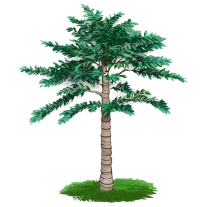 Tree Top View B PNG Image