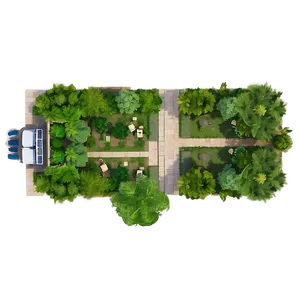 Tree Top View For Landscape Design Png 84 PNG Image