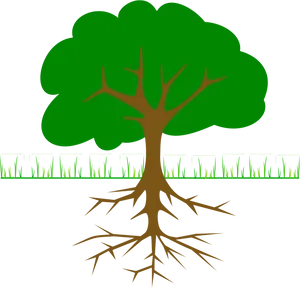 Tree_with_ Exposed_ Roots_ Vector PNG Image