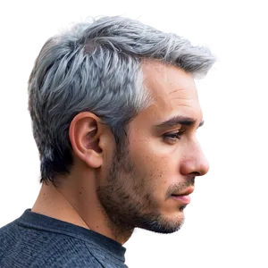 Trendy Gray Hair Png 83 PNG Image