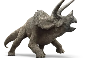 Triceratops Model Jurassic World PNG Image