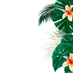 Tropical Aloha Background Png 06272024 PNG Image