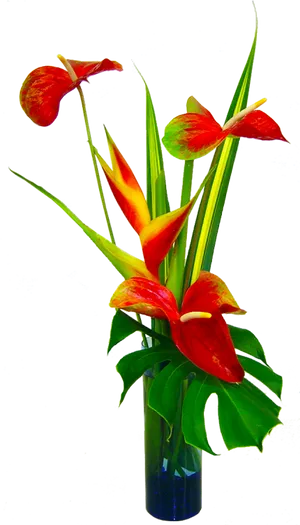 Tropical Anthuriumand Heliconia Arrangement PNG Image