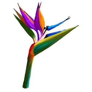 Tropical Bird Of Paradise Design Png Lrt81 PNG Image