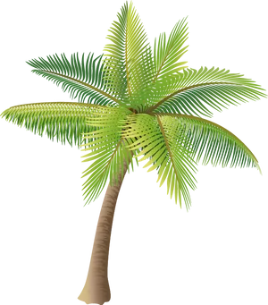 Tropical Coconut Tree Illustration PNG Image