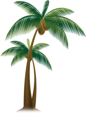 Tropical Coconut Tree Illustration PNG Image