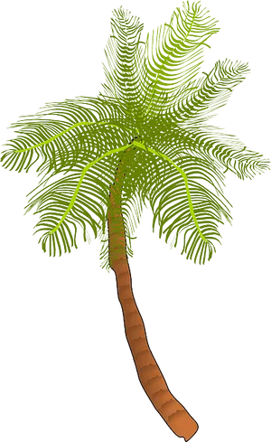 Tropical Coconut Tree Illustration PNG Image