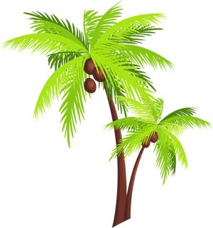 Tropical Coconut Trees Illustration PNG Image