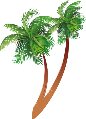 Tropical Coconut Trees Illustration PNG Image