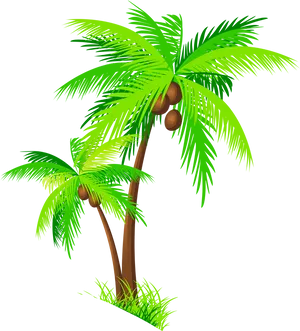 Tropical Coconut Trees Illustration PNG Image