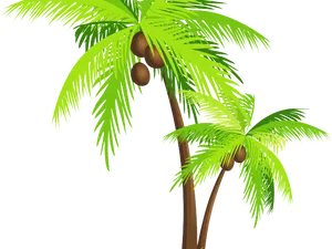 Tropical Coconut Trees Illustration PNG Image