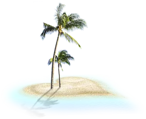 Tropical Coconut Treeson Island PNG Image