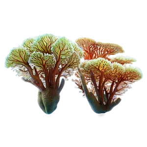 Tropical Coral Garden PNG 05242024 PNG