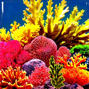 Tropical Coral Garden PNG 05242024 PNG