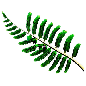 Tropical Fern Leaf Icon Png 53 PNG Image