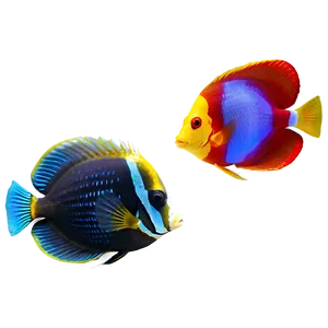 Tropical Fish Png 64 PNG Image