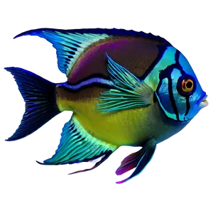 Tropical Fish Transparent Png Phr PNG Image