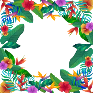 Tropical_ Floral_ Border_ Design PNG Image