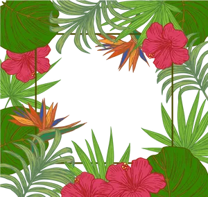 Tropical Floral Frame Black Background PNG Image