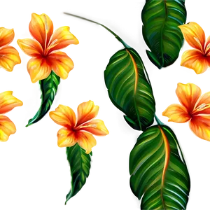 Tropical Floral Pattern Png 31 PNG Image