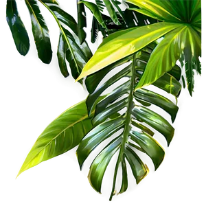 Tropical Foliage Png 67 PNG Image