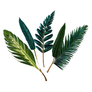 Tropical Foliage Png Qsy PNG Image