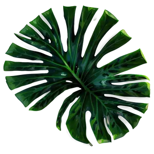 Tropical Foliage Png Rtg47 PNG Image