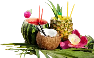 Tropical Fruit Cocktails Display PNG