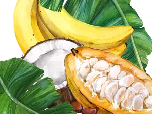 Tropical_ Fruit_ Still_ Life PNG Image