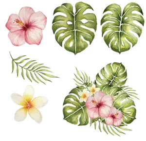 Tropical Hibiscusand Monstera Illustration PNG Image