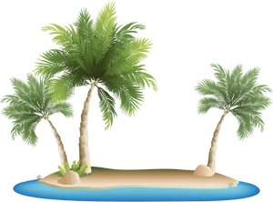 Tropical Island Palm Trees PNG Image